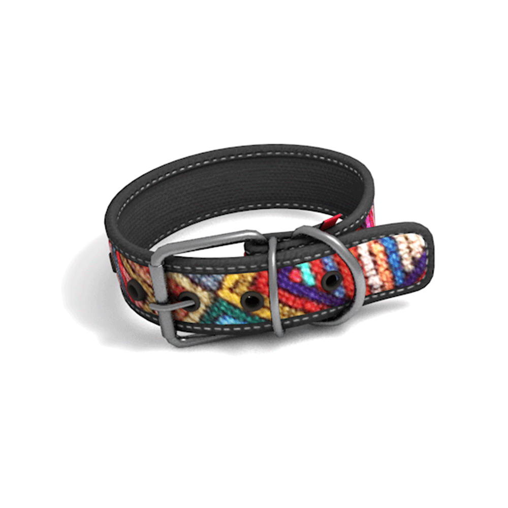 Collar Perro Cool Can Collar Perro Cool Can